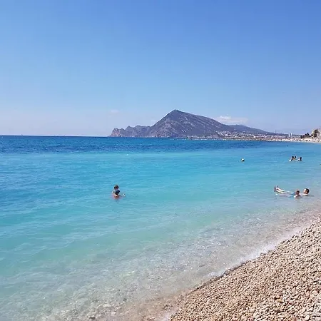 The Flirt Of Denia